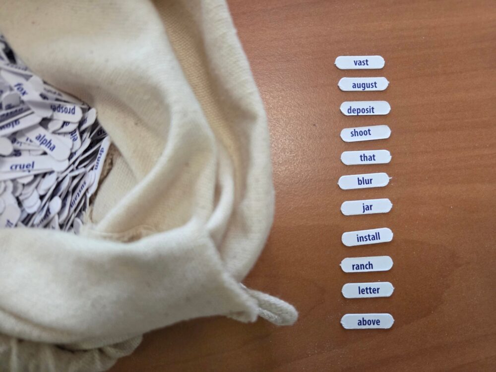Shuffle Seed drawn from a bag Eleven BIP39 word chips drawn blind from a cloth bag